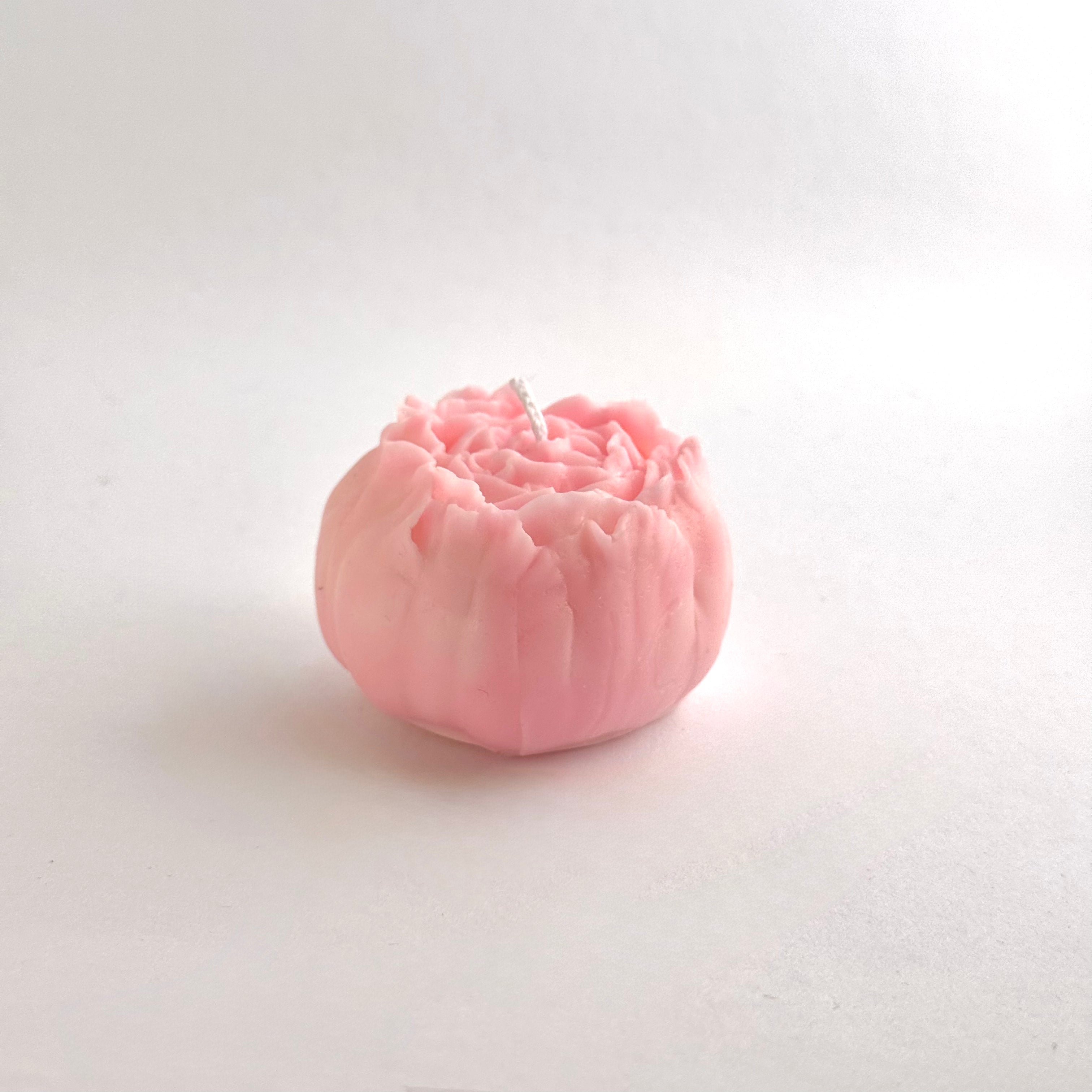 Grosse pivoine