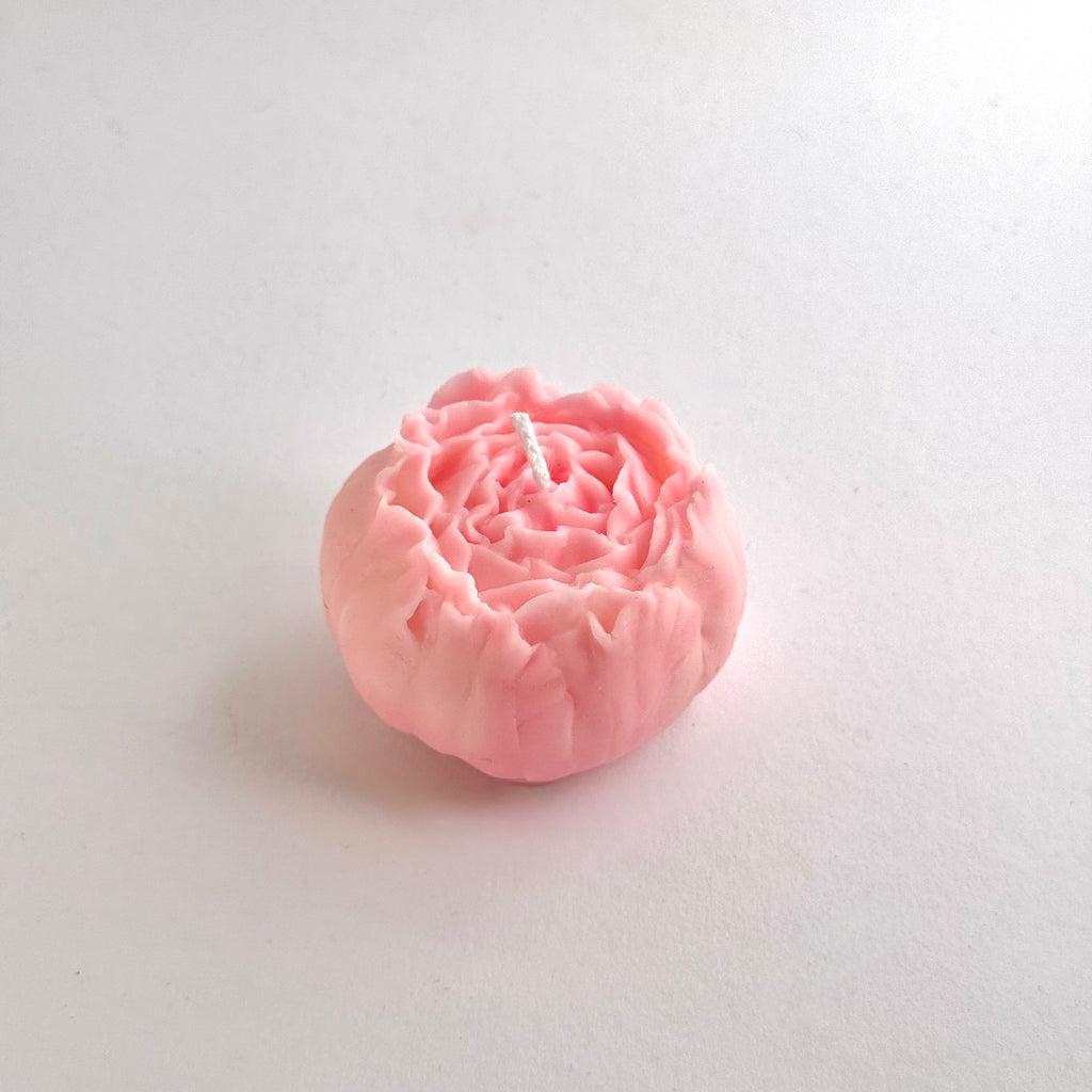 Grosse pivoine