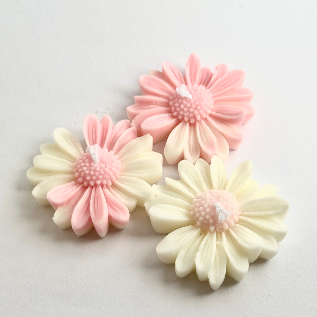 Kamillenblüte