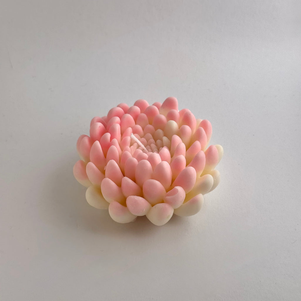 Sumpfblume
