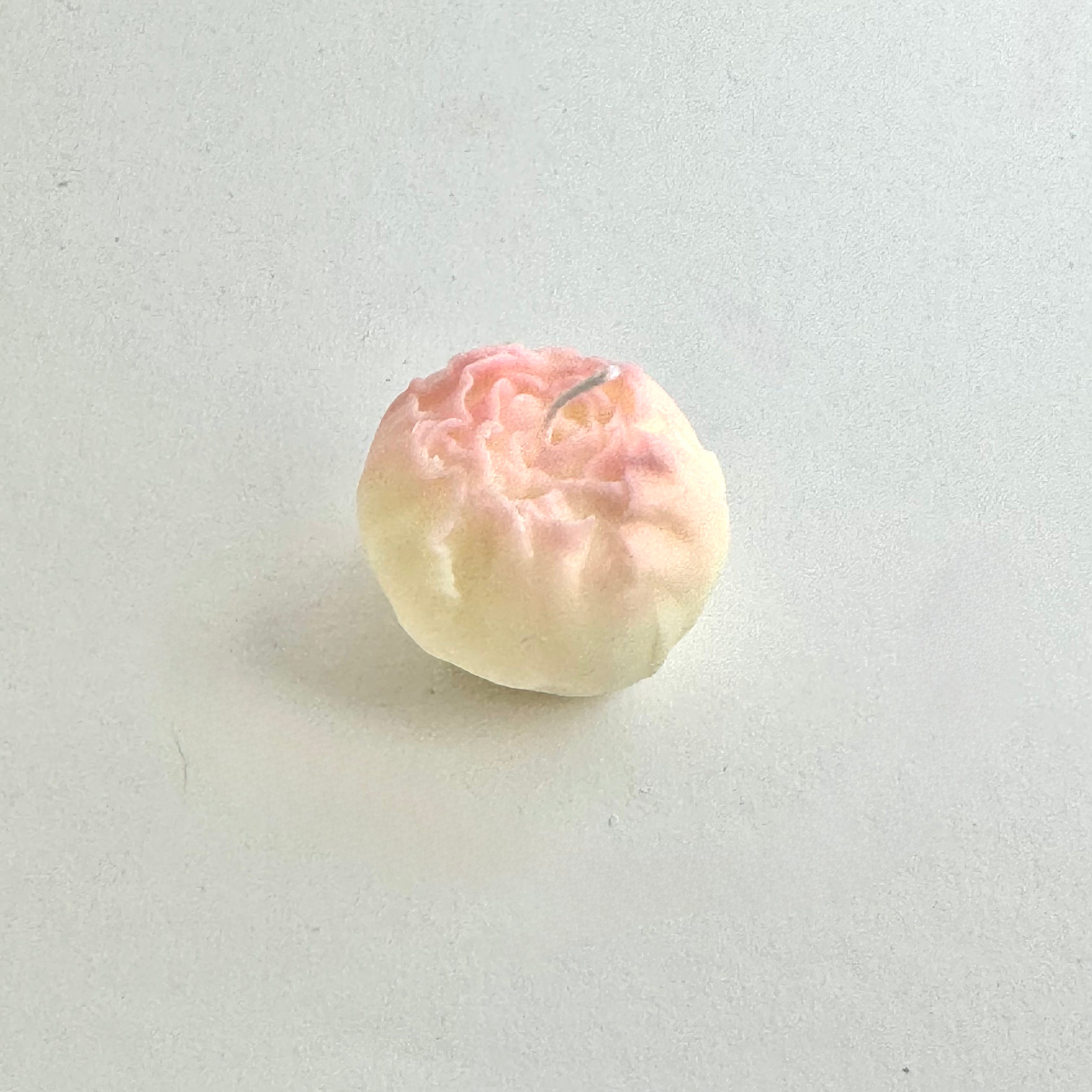 Kleines Pfingstrose